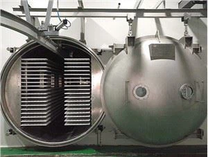 Commerciële vriesdroger te koop Lyophilzer-machine