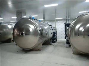 50kg/batch industriële fruitkiwi vriesdroogmachine