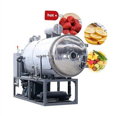 Industriële vacuümvriesdroger Beste koop
